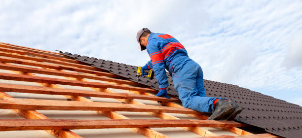 Best Roof Maintenance and Cleaning  in North Fort Myers, FL